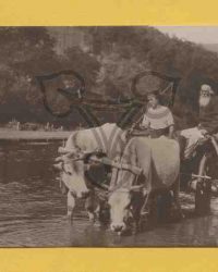 Leiterwagen im Fluß