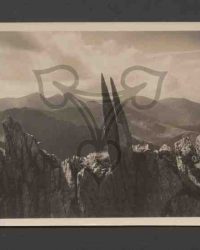 Vedere spre Est de pe Vrf. Ciobanului (Negoiu)