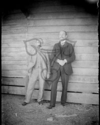 Caracal, 1909, Sept. 4