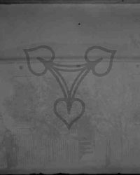 Dioști 1911, Oct. 16, D.