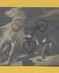 La cavale indomptable