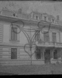 Caracal, 1904, Julie