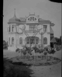 Caracal, 1904, Julie