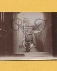 Blick in den Hinterhof