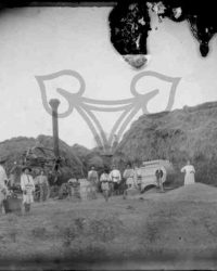 Priseaca, 1914, Jul. 29