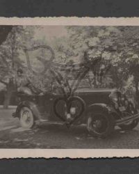 Unbekanntes Paar mit Schofför