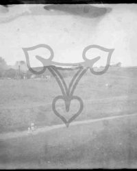 Priseaca, 1914, Jul. 29