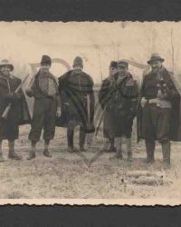 Antonescu, Mareșalul Curții Regale