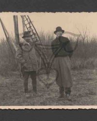 Antonescu și Regele Mihai