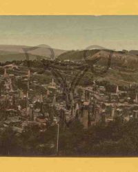 Salutări din Buștenari