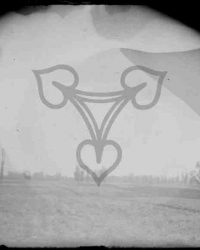 Dioști, 1909, Aug. 15