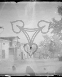 Craiova, 1910, Julie 2