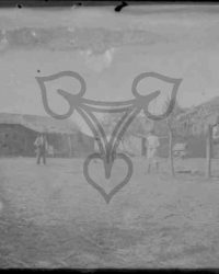 Personengruppe auf einem Bauernhof