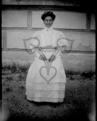 Cracal, 1908, Iunie 29