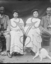 Ferma Studina, 1908, Iunie 22