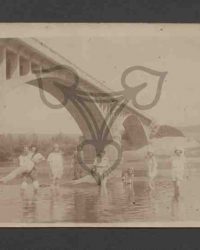 La Dolhasca sub podul de Siret