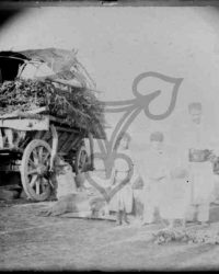 Caracal, 1908, Mai 31, S.