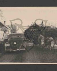 Auto und Leiterwagen