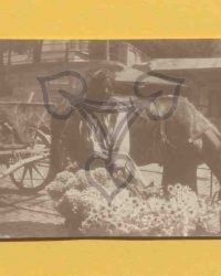 Unbekannte Frau verkauft Blumen