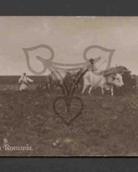 Salutări din Romania