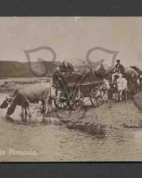 Salutări din Romania