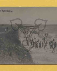 Salutări din Mangalia