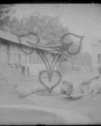 Dioști, 1910, Oct. 3