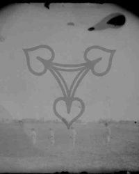 Dioști, 1909, Aug. 15