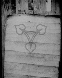 Redea, 1909, Aug. 24