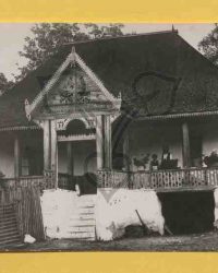 Unbekanntes Bauernhaus