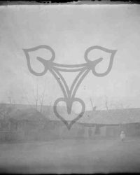 Redea, 1911, Febr. 7