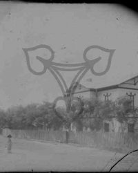 Vlădila, 1908, Iunie 21