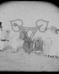 Studina, 1908, Iulie 27, Duminecă