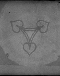 Caracal, 1909, Febr. 25