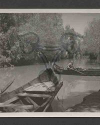 Donaudelta