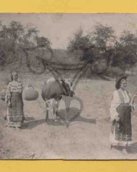 Bellu