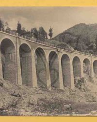 Viaductul Teliu