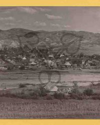 Culcea