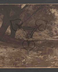 Bachlandschaft