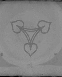 Dioști, 1907, Aug. 26, Duminecă