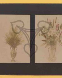 Werbemotive eines Temeschwarer Blumenhändlers und -züchters