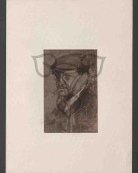 Nicolae Vermont