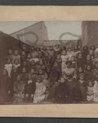 Institutul de fete Elena Nicolescu Brăila