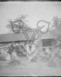 Caracal, 1911, Sept. 8