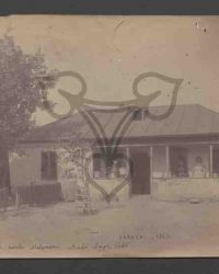 Caracal, 1912