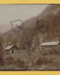 Spre Câmpulung Muscel