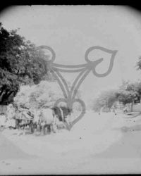 Vlădila, 1908, Iunie 21