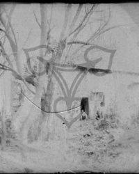 Redea, 1908, Aprilie 14