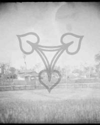 Caracal, 1910, Aprilie 29 Joi