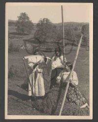 Moiseni - Satu Mare